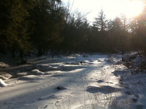 North Creek, NY