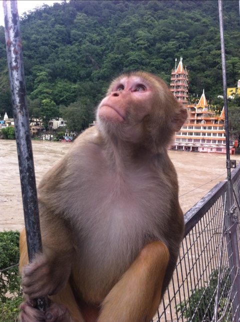 20110816-080510.jpg