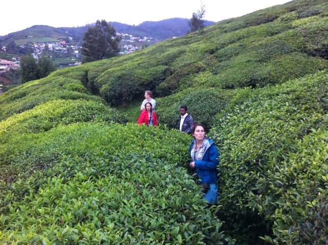 20110816-080658.jpg