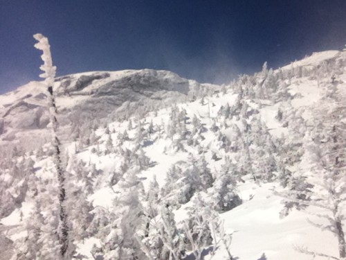 Top of Mt. Mansfield